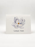 White Magnolia Note Cards